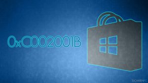 Wie behebt man den Microsoft Store-Fehler 0xC002001B?